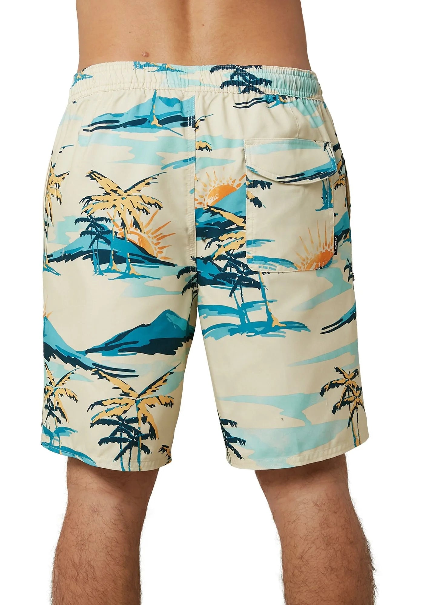 Men's Cabana Volley Board Shorts Bone Palm Trees A858379