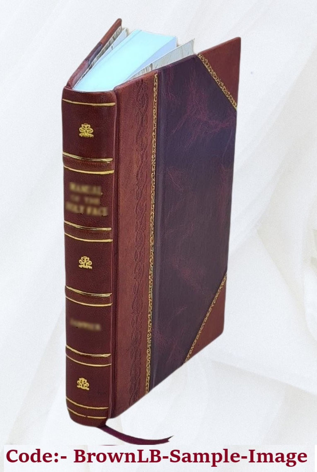 Cent mille coups de banque applicables au trente-quarante et à la roulette, recueillis par G. Grégoire,... 1864 [Leather Bound] X781