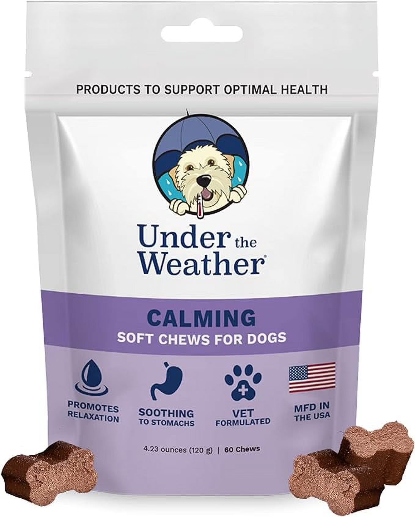 Calming Soft Chews for Dogs (60 Count Pack) E535187