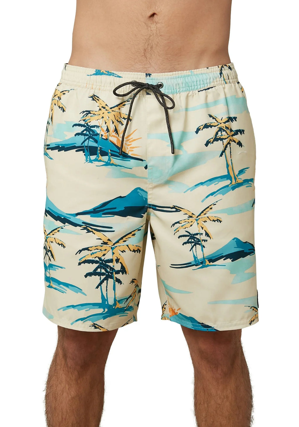 Men's Cabana Volley Board Shorts Bone Palm Trees A858379