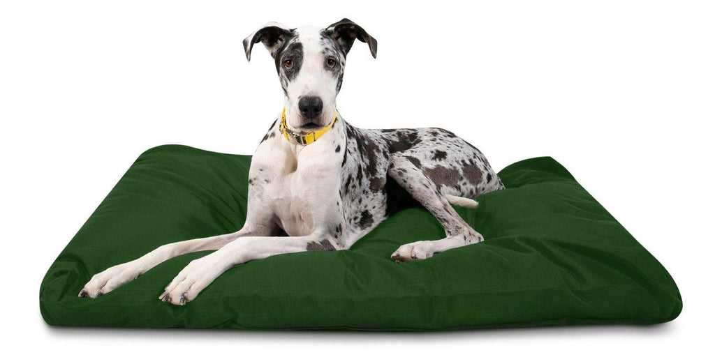 Green Large Chew Resistant Dog Bed K4536