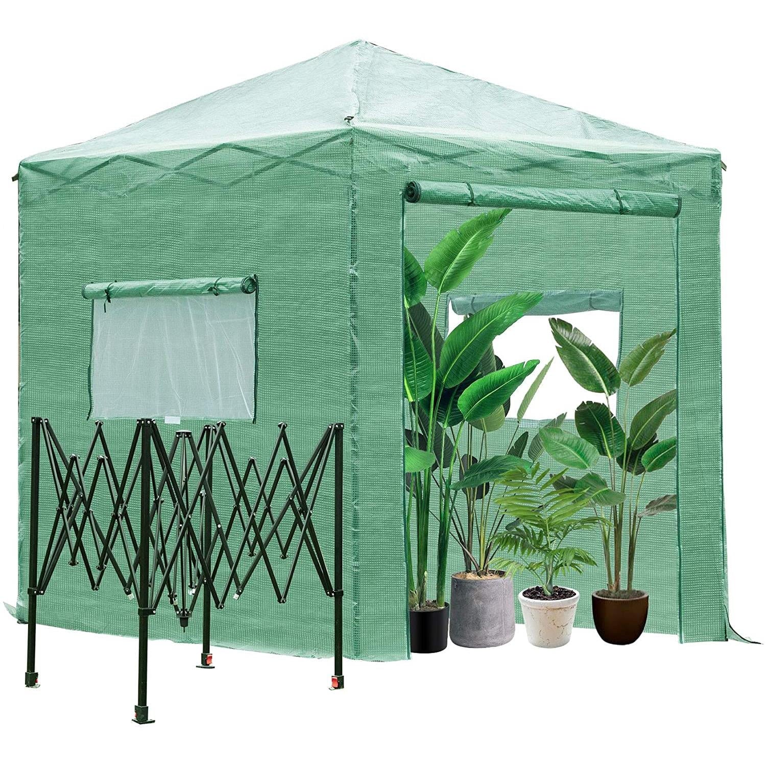 8' x 8' Walk in Green House N72333