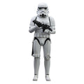 1:6 Scale Deluxe Figure I819