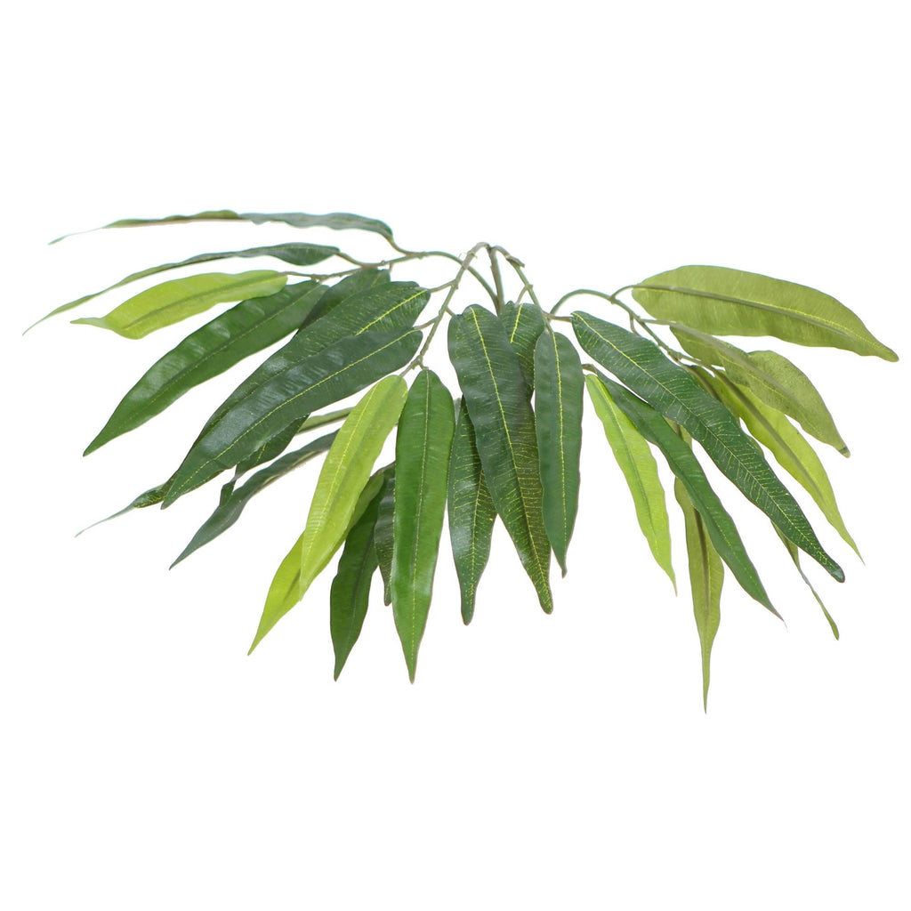 Green Mango Executive J6035
