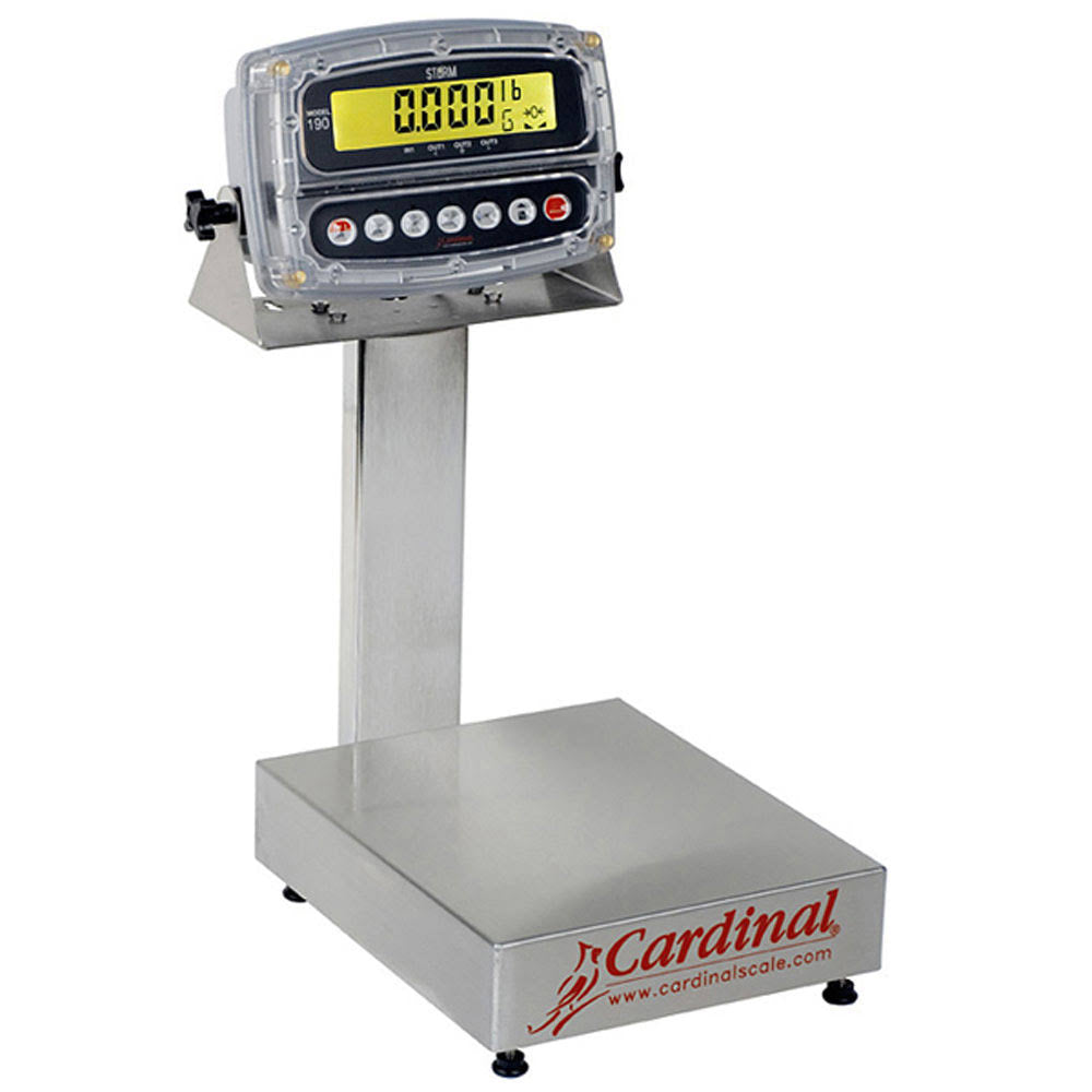 150 lb/60 kg Bench Scale with Indicator O44096