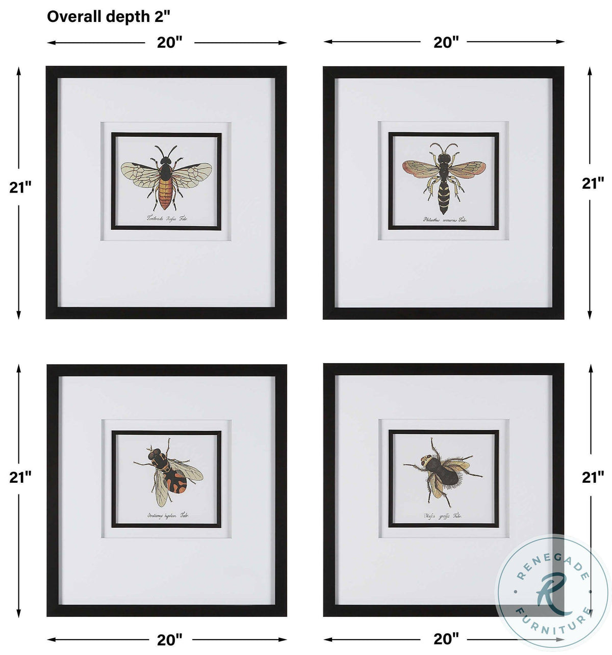 Set of 4 Framed Prints Y9168