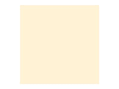 ivory 8.5 in x 11 in 250 sheet card stock N644711